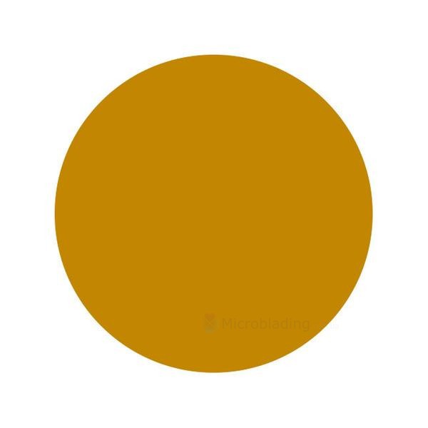 30 ml Intenze Ochre [Годен до 31.03.2026]